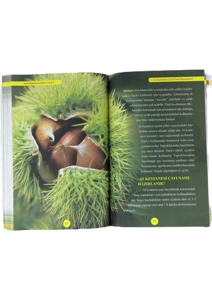 Şifalı Bitkilerin Şifalı Çayları