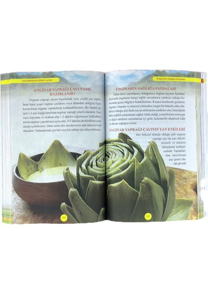 Şifalı Bitkilerin Şifalı Çayları