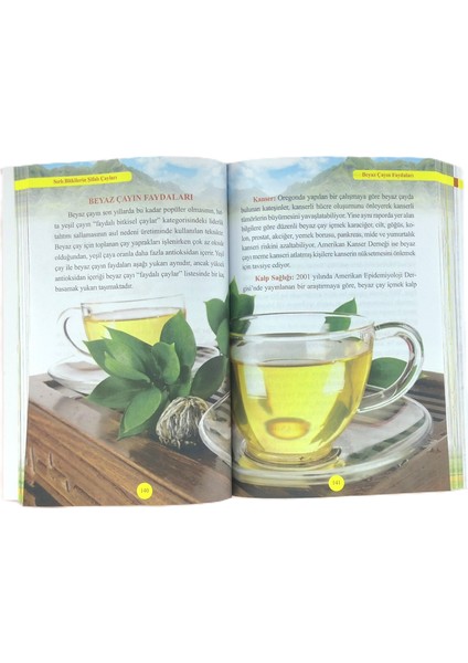 Şifalı Bitkilerin Şifalı Çayları
