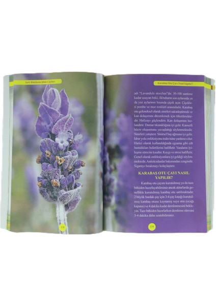 Şifalı Bitkilerin Şifalı Çayları