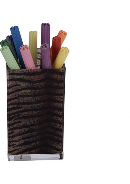 Kalemlik Çizgili Leopar Desenli Ofis Gereci