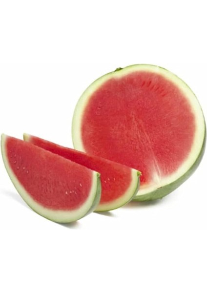 Thailand Çekirdeksiz Karpuz Tohumu 5 Adet Tohum Bebek Karpuzu Tohum fiyatları