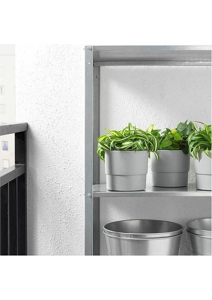 Nypon Bitki Saksısı, 12 Cm, Açık Hava Gri fırsatları