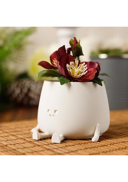 Tombul Oturan Gülen Yüz Saksı Bioplastik Güler Yüzlü Sukulent Saksısı (Beyaz, Büyük) modelleri