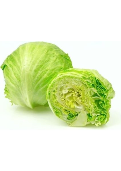 Iceberg (Çoklu Tohum) - 3 Gram