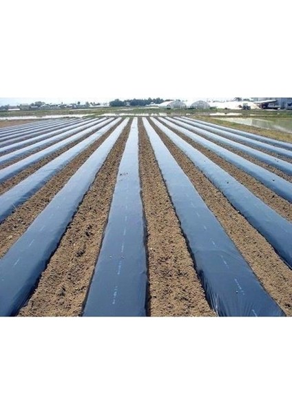 Sebze Naylonu 100 Metre Eni 120 cm Malç Naylonu Sebze Örtüsü Malç Örtüsü Siyah Domates Karpuz Naylon fiyatları