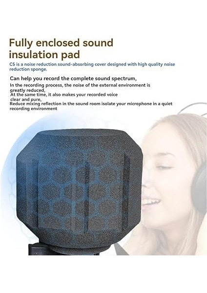 C5 Mikrofon Rüzgar Kalkanı Akustik Filtre Profesyonel Kondenser Mic Stüdyo Sünger Geçirmez Koruma Kapağı A fırsatları