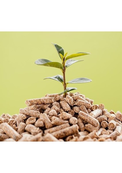 Litre Çam Peleti - Ekonomik ve Çevre Dostu Yakıt Çözümü! fiyatları