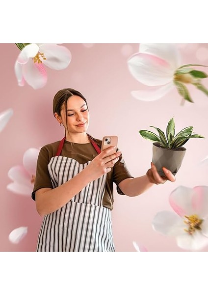 Yakamoz Prizma Saksı Seti 4 Adet Drenajlı Tabaklı Plastik Çiçek Saksısı Set (Renkli, 0.65 Lt) indirimleri