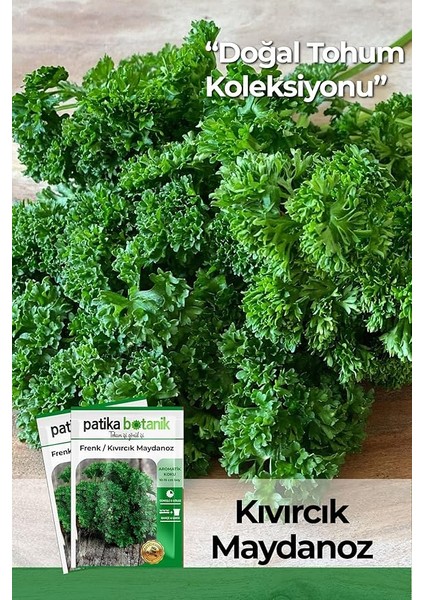 Botanik 2500 Adet Frenk/kıvırcık Maydanoz Tohumu