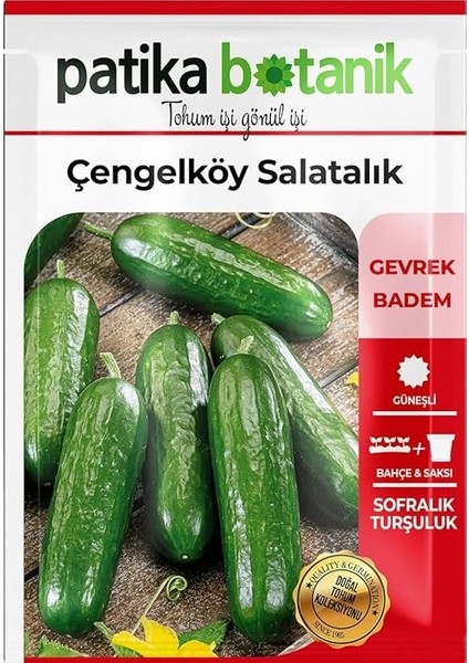 BOTANIK-150 Adet Çengelköy Salatalık Tohumu fiyatları