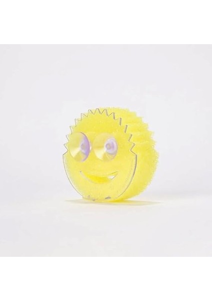 Caddy Sünger Saklama Standı modelleri