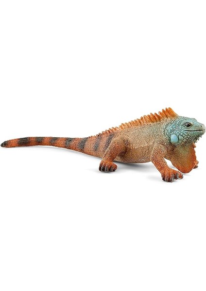 Iguana