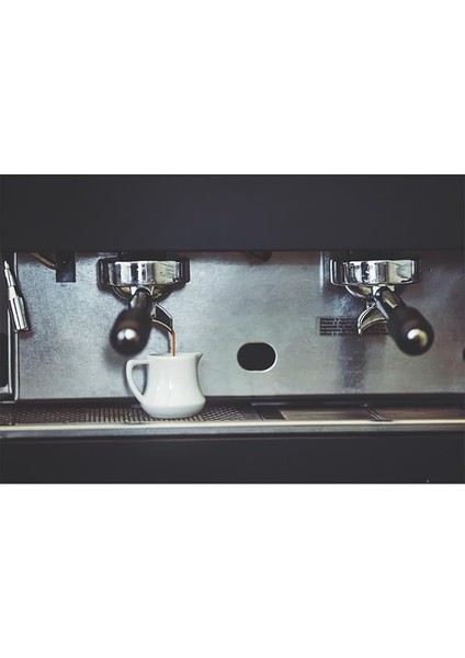 x Bosch Siemens Kireç Çözücü Sıvı 500 ml Tam Otomatik Kahve Makinesi fiyatları