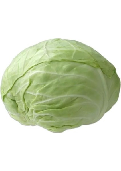 Beyaz (Çoklu Tohum) - 5 Gram