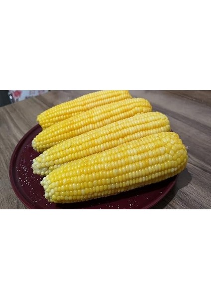 Tarım Yerli Doğal Süt Mısır Haşlama Közleme 50 Ad. Tohum modelleri