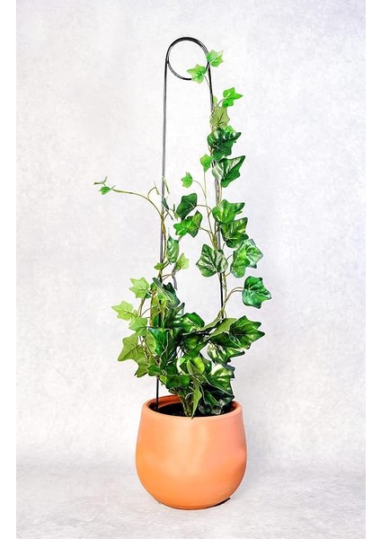 Destek Çubuğu – Siyah Metal Kancalıiğne Model, 65 Cm, Sarmaşık ve Büyük Yapraklı Bitkiler Için