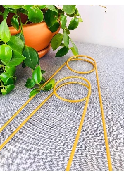Destek Çubuğu – Siyah Metal Kancalıiğne Model, 65 Cm, Sarmaşık ve Büyük Yapraklı Bitkiler Için indirimleri