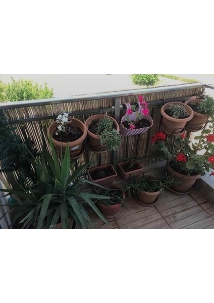 50CMX5M Hasir Kamış fırsatları