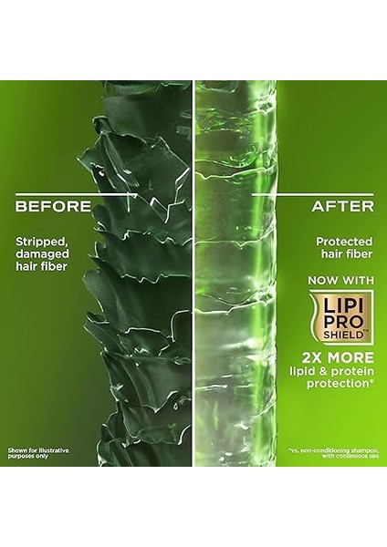 Rosemary Mint Arındırıcı 385 ml Sülfatsız Şampuan modelleri