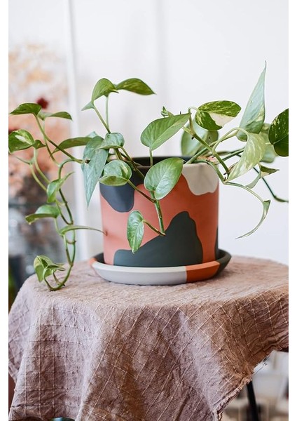 Saksı Yeşil 13.5X15.5CM + Tabak