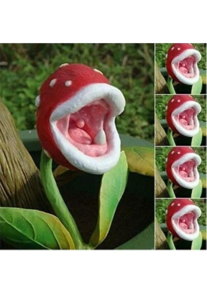 Dünyam Etçil Etobur Sinek Kapan Bitkisi Tohumu 5 Adet Tohum