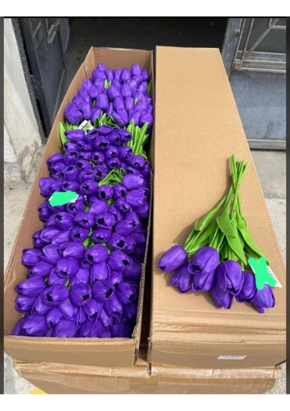 6lı Vazoya Koymalık Sarı Lale