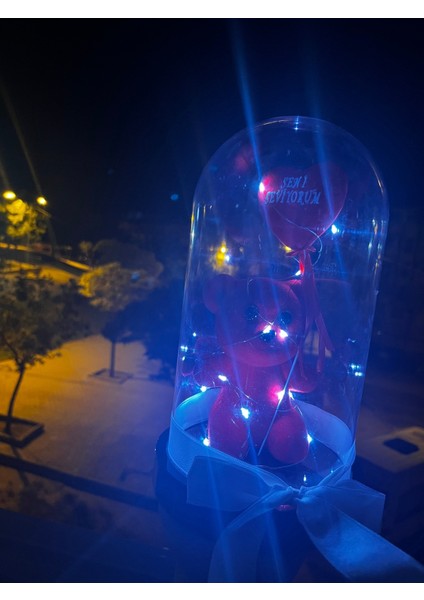 Kırmızı Ayıcıklı Özel Gün Hediyesi Cam Fanus