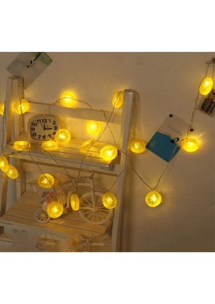 2m 10 LED Pilli 2 Kademeli Limon LED Işık modelleri