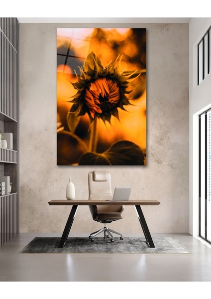 Ayçiçeği Cam Tablo fırsatları