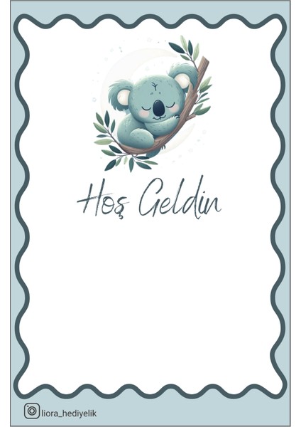 Hoş Geldin Bebek Koala 35 Adet