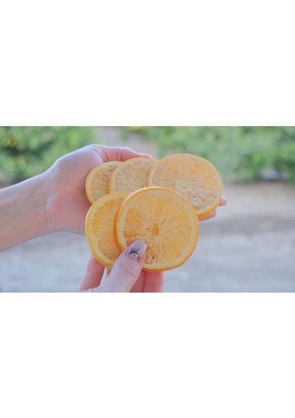 Freeze Dry Portakal – 20 G