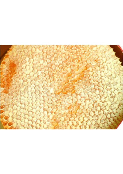 Hizan Karakovan Kasnak Balı (First Class) - 1,250 kg - fiyatları