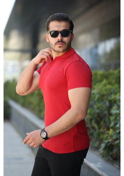 Erkek Kısa Kollu Yakalı Tişört fiyatları