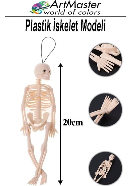 Iskelet Modeli Plastik 20 cm 1 Adet Silikon Insan Iskeleti Plastik Isket Modeli Silikon Iskelet Deneyi Araba Süsü