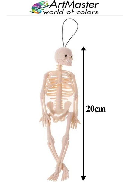 Iskelet Modeli Plastik 20 cm 1 Adet Silikon Insan Iskeleti Plastik Isket Modeli Silikon Iskelet Deneyi Araba Süsü fiyatları