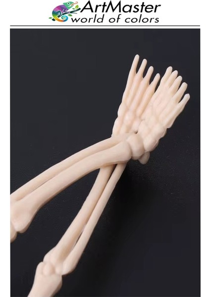 Iskelet Modeli Plastik 20 cm 1 Adet Silikon Insan Iskeleti Plastik Isket Modeli Silikon Iskelet Deneyi Araba Süsü modelleri