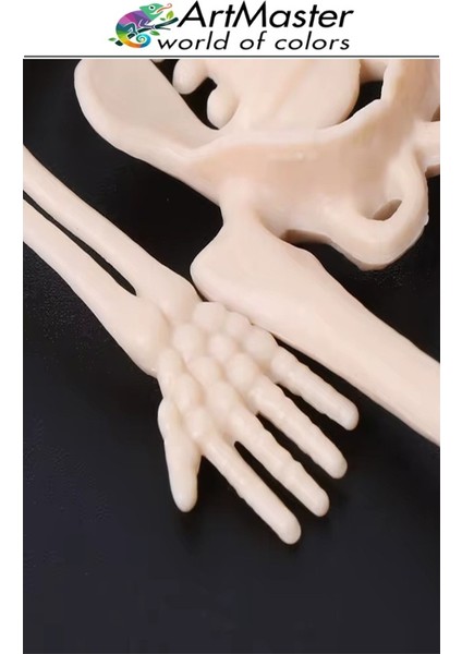 Iskelet Modeli Plastik 20 cm 1 Adet Silikon Insan Iskeleti Plastik Isket Modeli Silikon Iskelet Deneyi Araba Süsü indirimleri