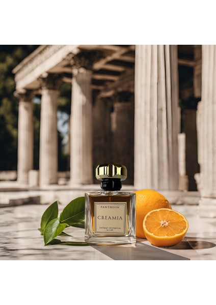 Pantheon - EDP Niş Erkek Parfüm 50 ml fırsatları