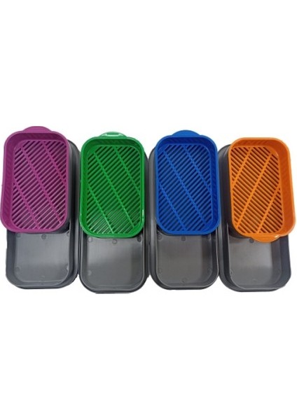 Topraksız Kedi Çimi Kabı modelleri