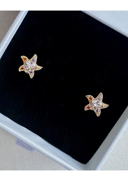 MİNİ TAŞLI YILDIZ KÜPE fiyatları