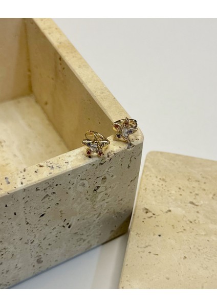 MİNİ TAŞLI YILDIZ KÜPE modelleri