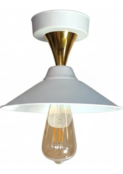 Olivya Tekli Plafonyer Avize modelleri