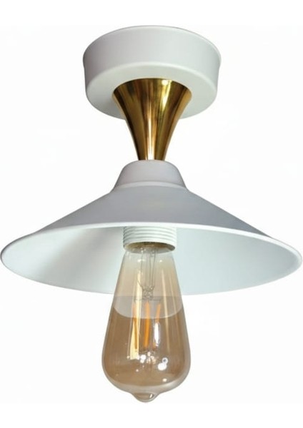 Olivya Tekli Plafonyer Avize fırsatları