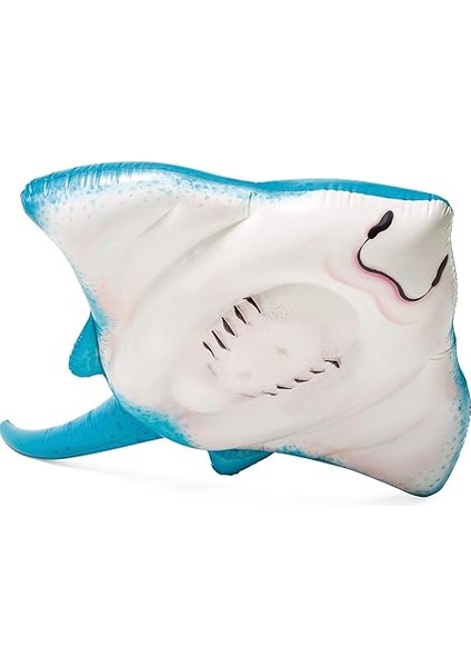 57576 Vatoz 185 Cm, Su Sporları, Plaj Malzemesi, Şişme Ürün, Yüzme Aksesuarı, Kamp, Dalış, Güvenlik modelleri