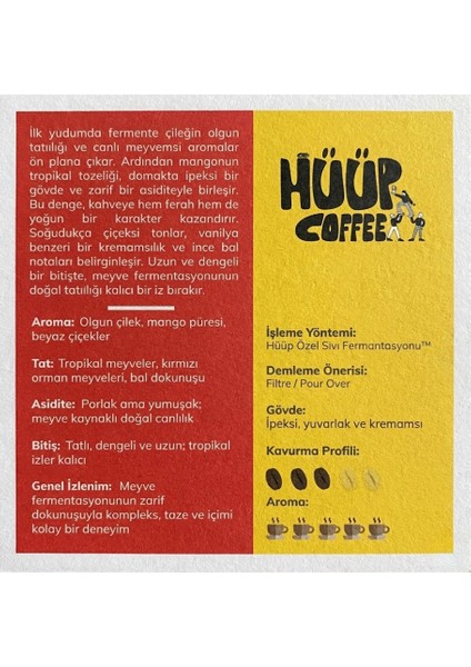 x Fermente Kahve - 5’li Deneme Paketi - Filtre Kahve (Çekirdek) - 250GR fiyatları