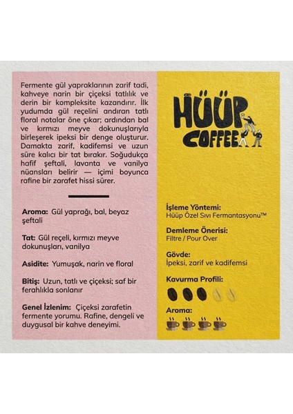 x Fermente Kahve - 5’li Deneme Paketi - Filtre Kahve (Çekirdek) - 250GR modelleri