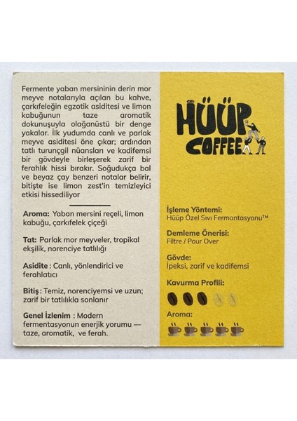 x Fermente Kahve - 5’li Deneme Paketi - Filtre Kahve (Çekirdek) - 250GR fırsatları