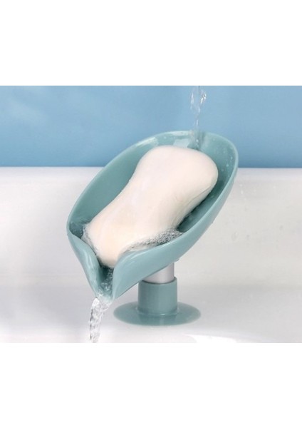 Vantuzlu Su Giderli Sabunluk