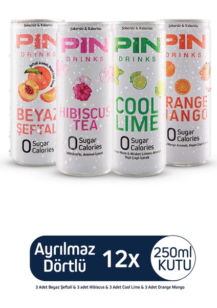 Ayrılmaz Dörtlü Soğuk Çay Deneme Paketi 12 Adet 250ML Ice Tea